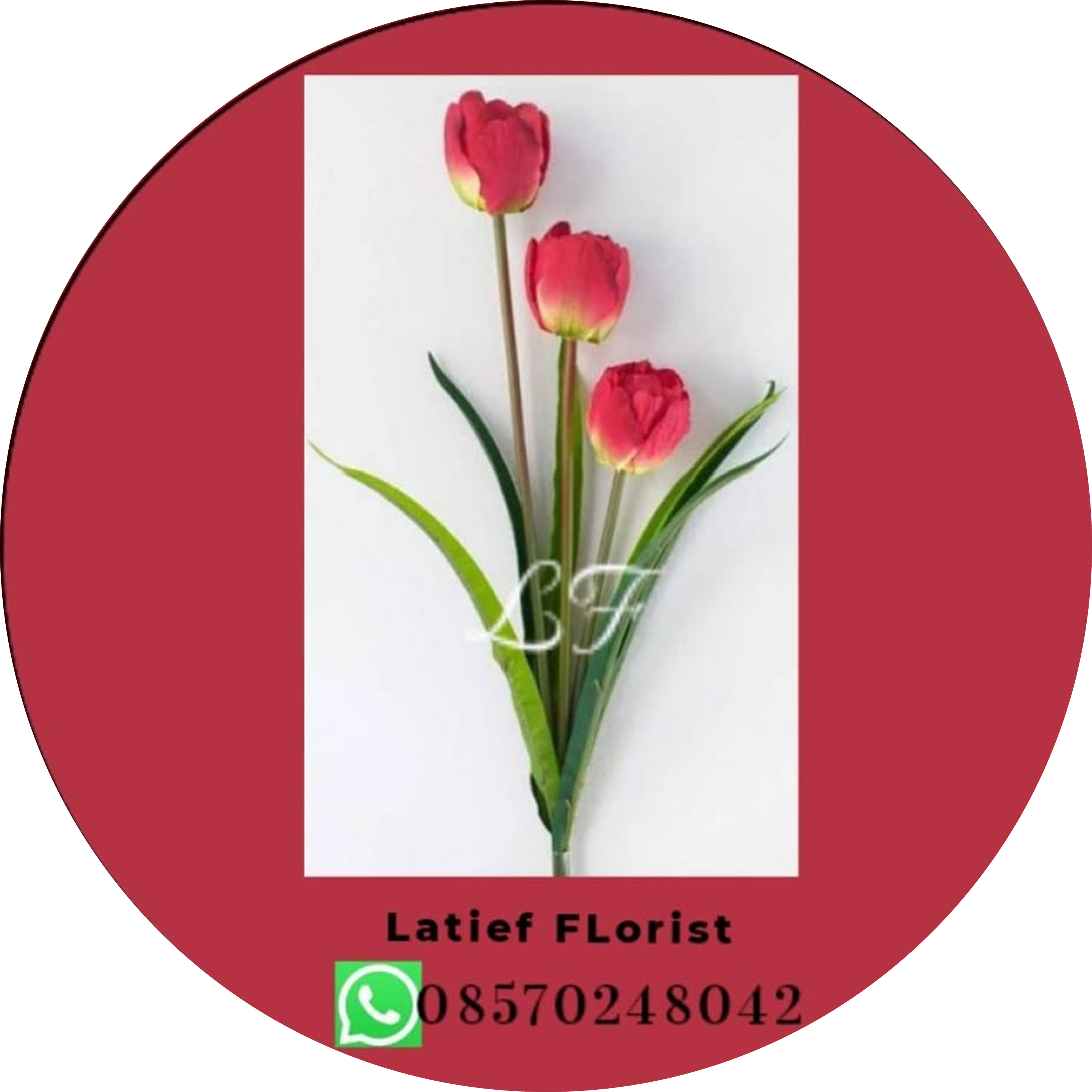 Logo Soft Petals